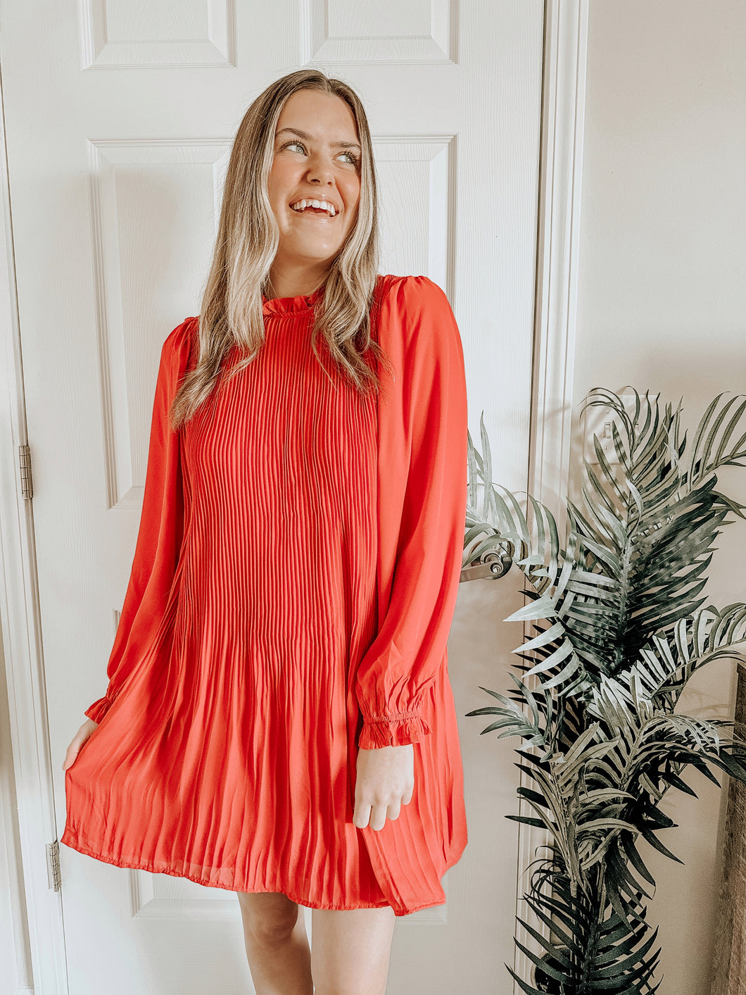Holiday Gatherings Pleated Dress